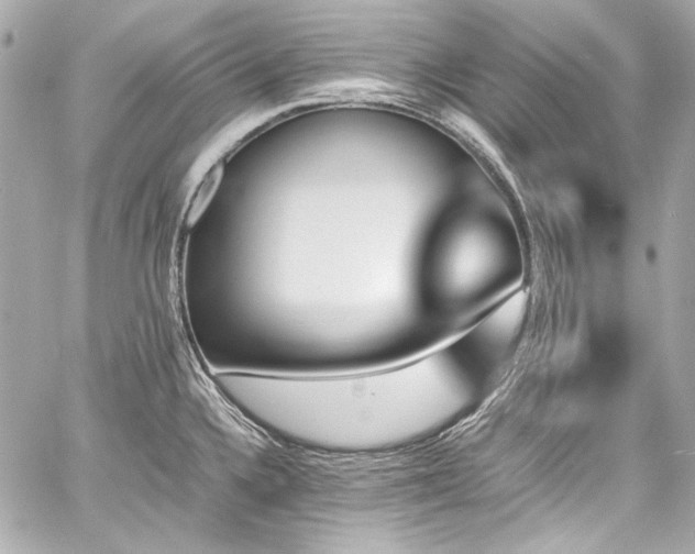 X0000060801336200511101409