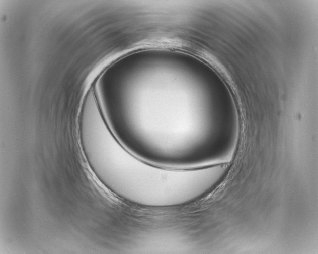 X0000060801344200511101409