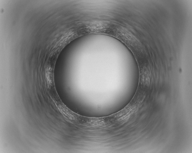 X0000060801346200511101408