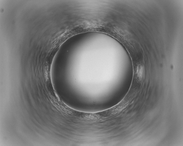 X0000060801348200511101408