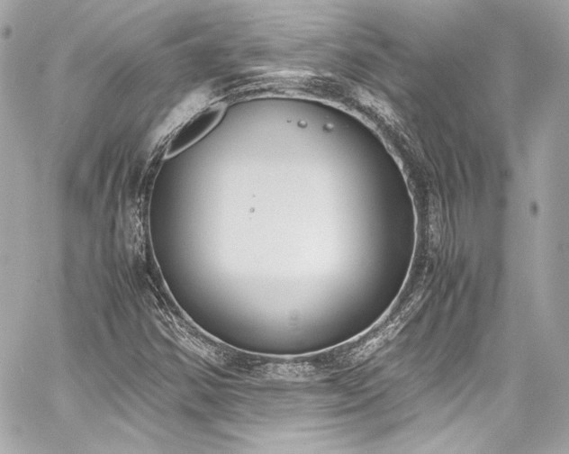 X0000060801354200511101408