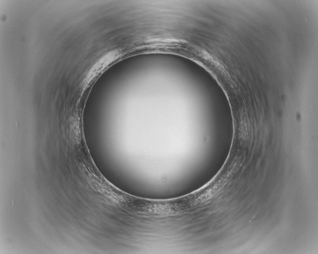 X0000060801362200511101408