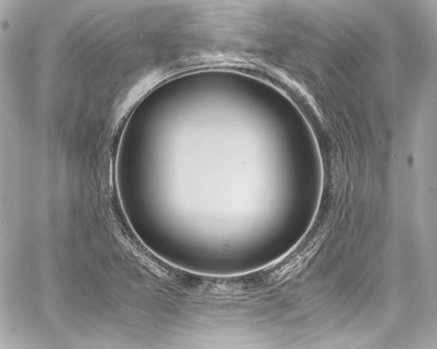 X0000060801365200511101408