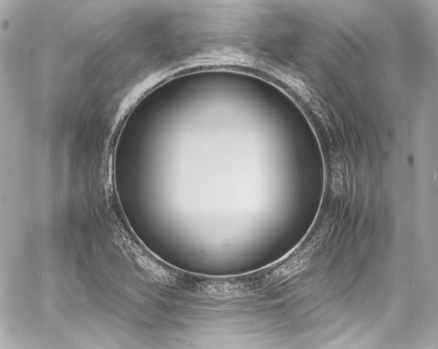 X0000060801366200511101408