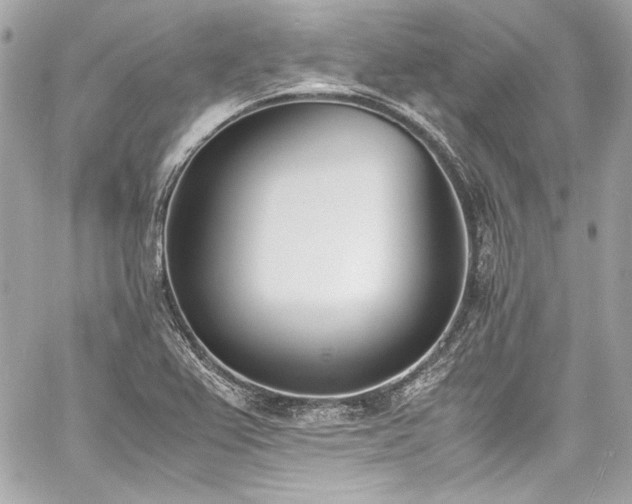 X0000060801367200511101408
