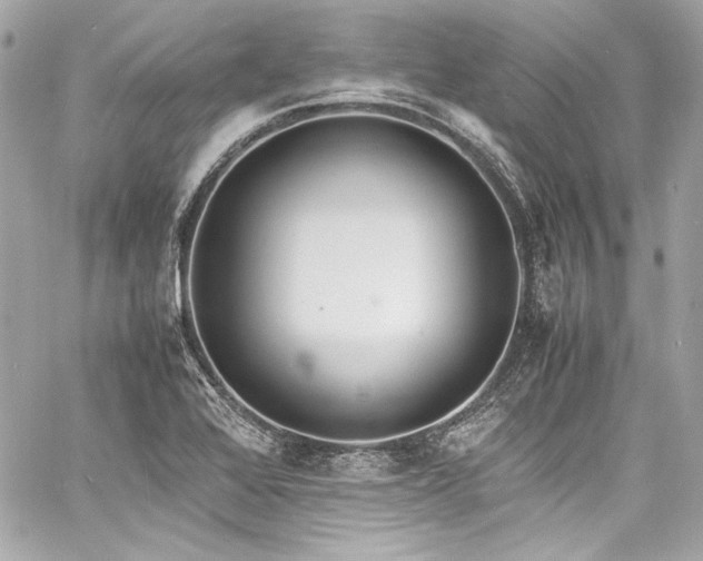 X0000060801368200511101408