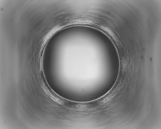 X0000060801371200511101408