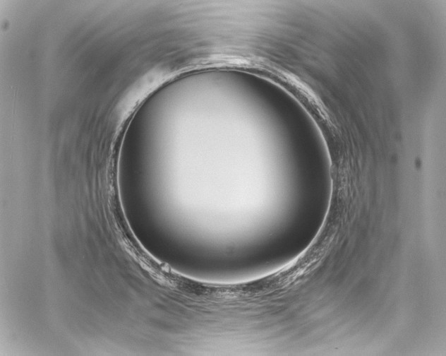 X0000060801373200511101408