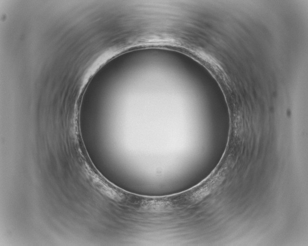 X0000060801374200511101408