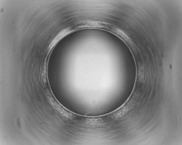 X0000060801378200511101408