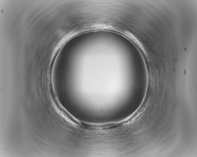 X0000060801381200511101408