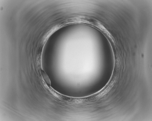X0000060801385200511101407