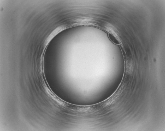 X0000060801386200511101407