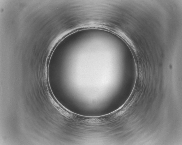 X0000060801388200511101407