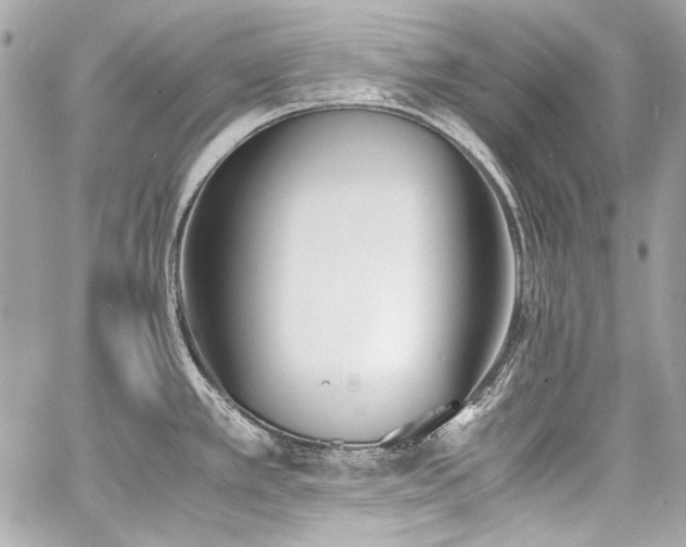 X0000060801389200511101407