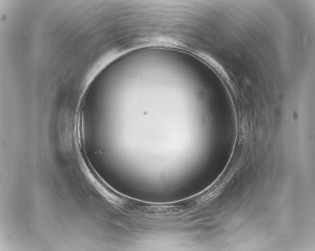 X0000060801391200511101407