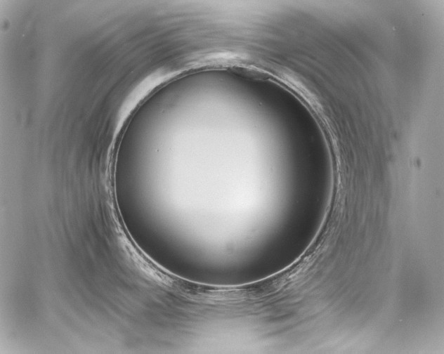 X0000060801392200511101407