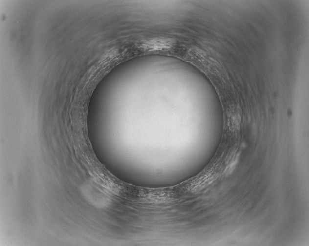 X0000060801393200511101407