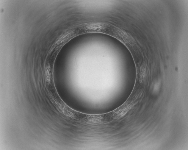 X0000060801394200511101407