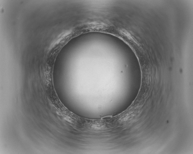 X0000060801399200511101407