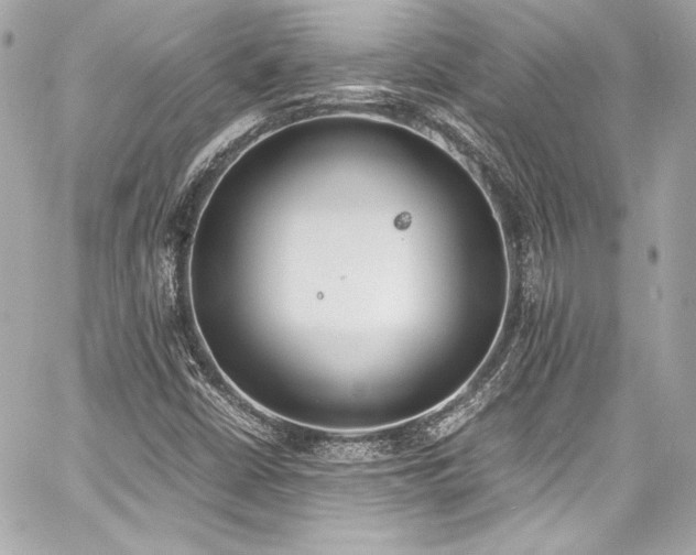 X0000060801402200511101407