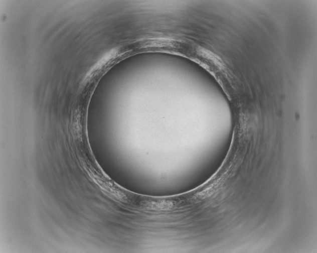 X0000060801403200511101407