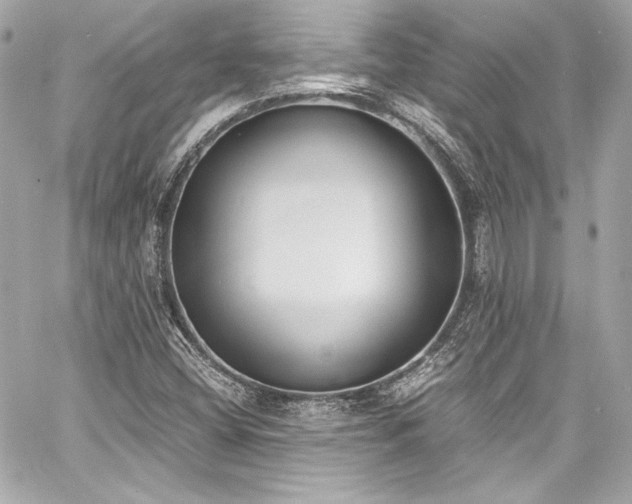 X0000060801404200511101407