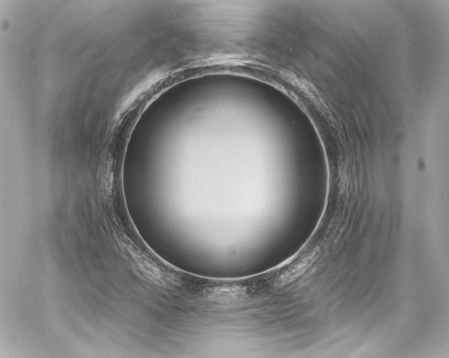 X0000060801406200511101407