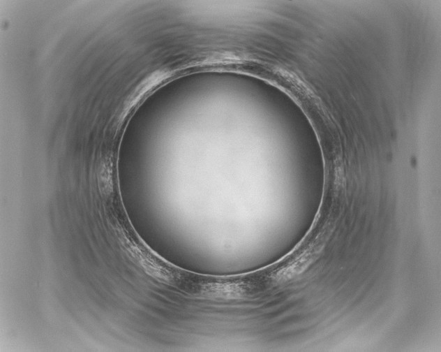 X0000060801409200511101407