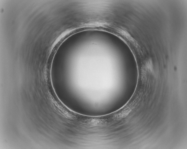 X0000060801412200511101407