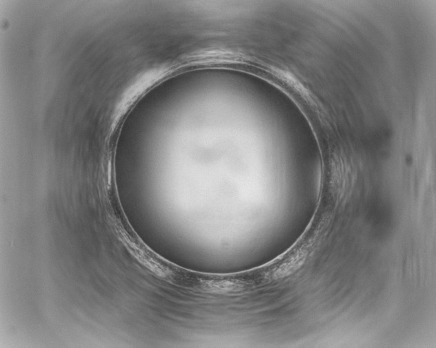 X0000060801413200511101407
