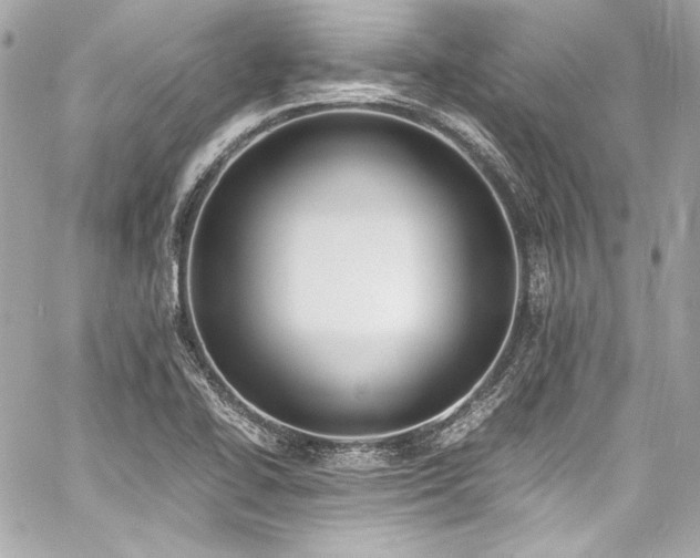 X0000060801414200511101407