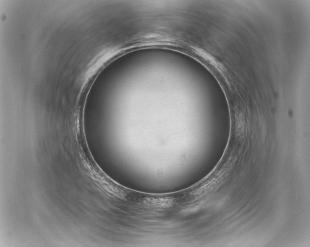 X0000060801415200511101407