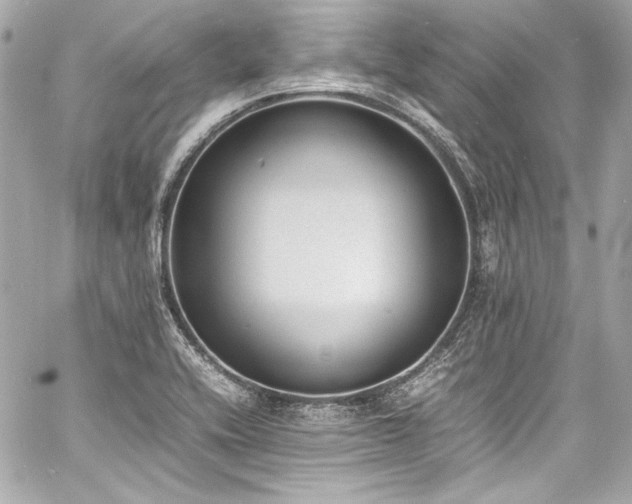 X0000060801416200511101407