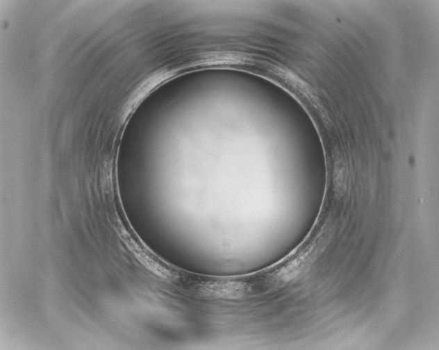 X0000060801417200511101407