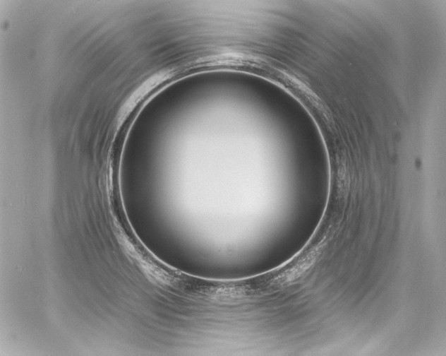 X0000060801418200511101407