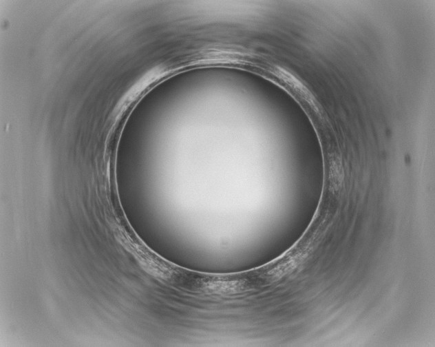 X0000060801419200511101407