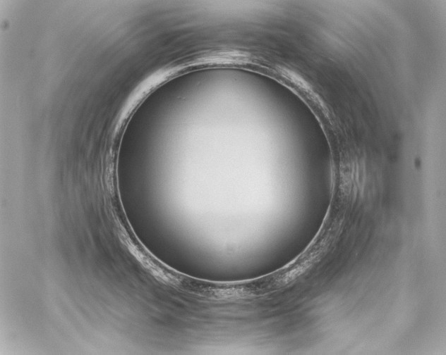 X0000060801421200511101407