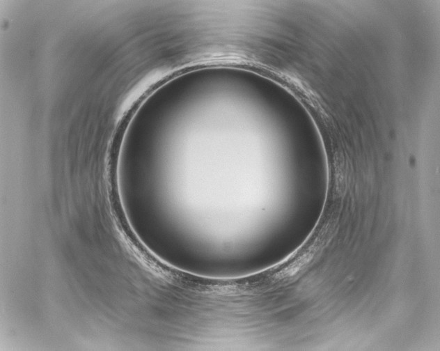 X0000060801422200511101407