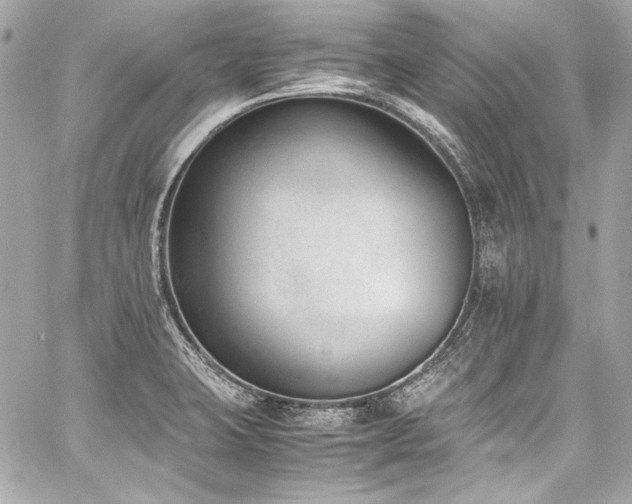 X0000060801423200511101407