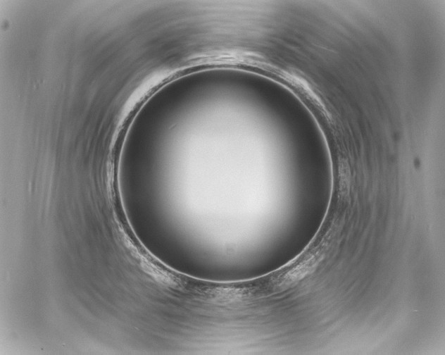 X0000060801424200511101407