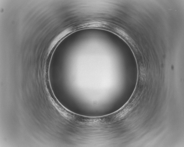 X0000060801426200511101407