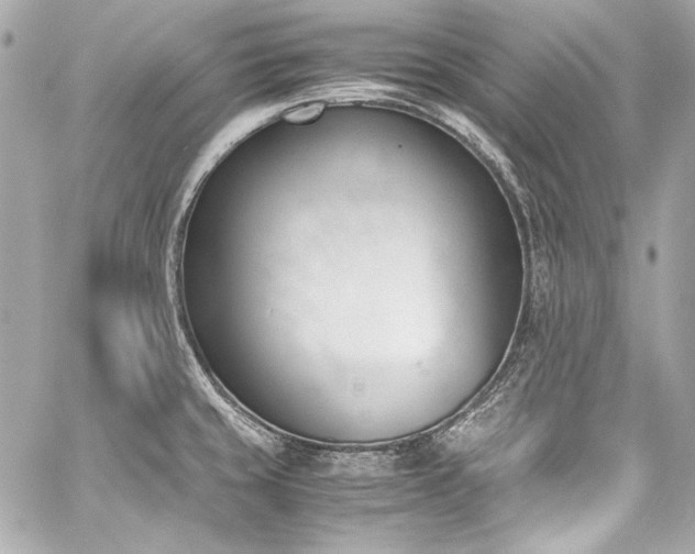 X0000060801429200511101407