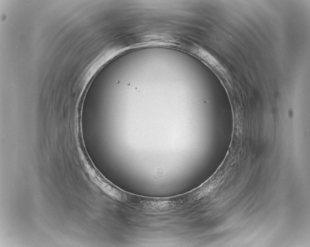 X0000060801431200511101407