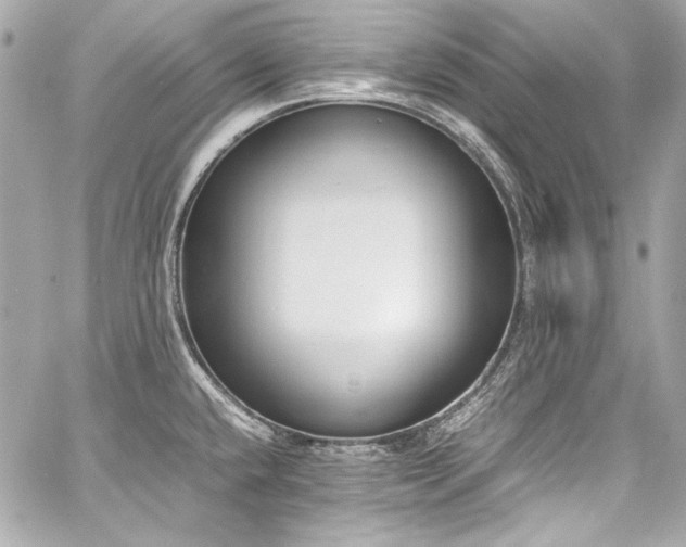 X0000060801432200511101407