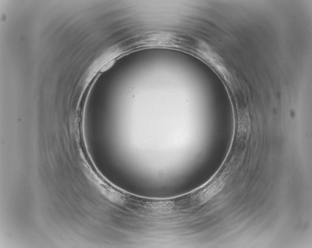 X0000060801434200511101407