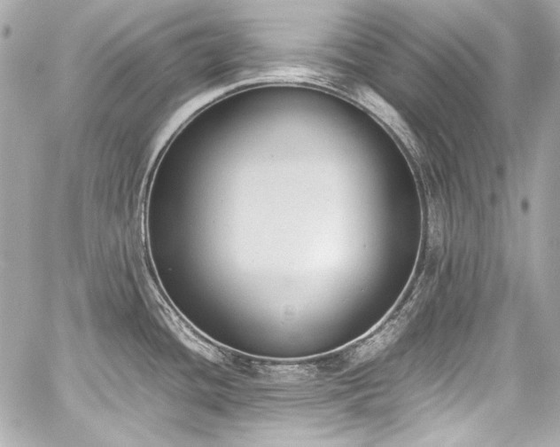 X0000060801436200511101407