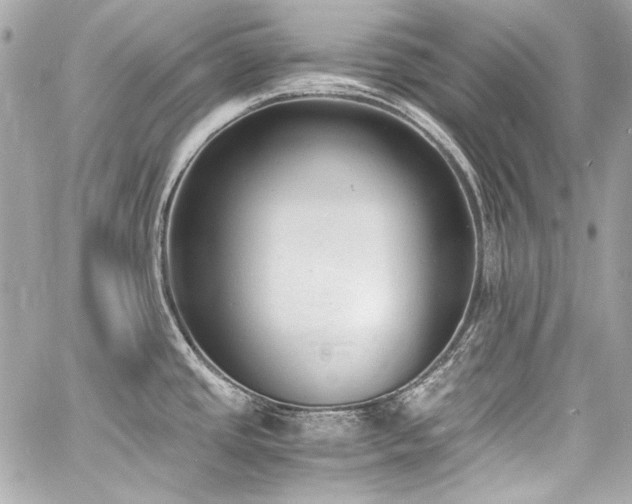 X0000060801437200511101407