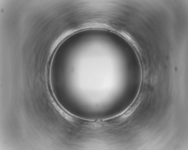 X0000060801438200511101407