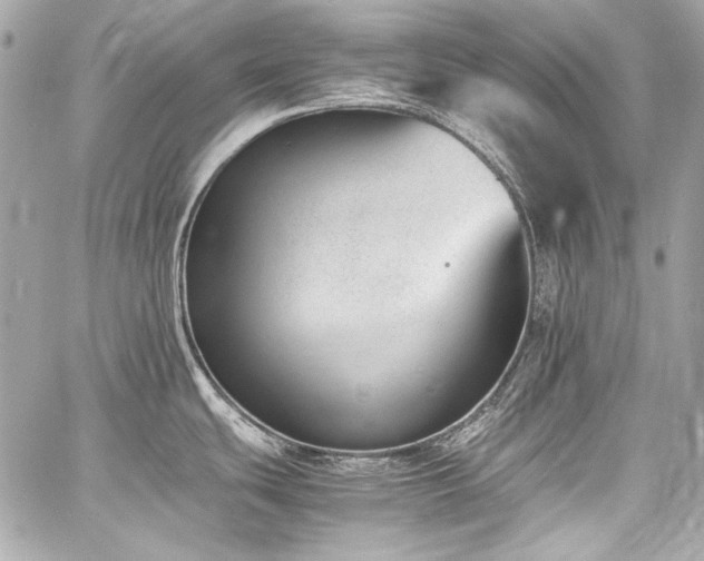 X0000060801439200511101407